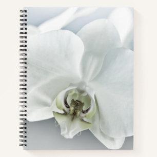Weiße Phaleonopsis Orchid Notizblock