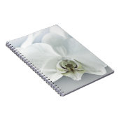 Weiße Phaleonopsis Orchid Notizblock (Rechte Seite)