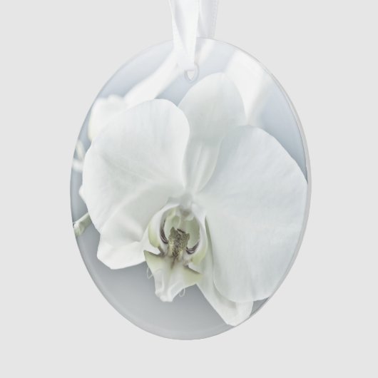 Weiße Phaleonopsis Orchid Ornament (Vorderseite)
