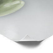 Weiße Phaleonopsis Orchid Poster (Ecke)