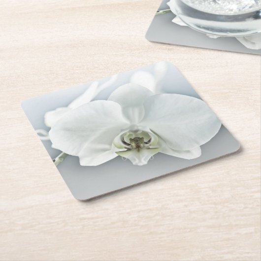 Weiße Phaleonopsis Orchid Rechteckiger Pappuntersetzer (angewinkelt)