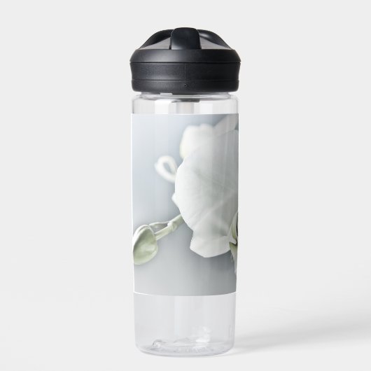 Weiße Phaleonopsis Orchid Trinkflasche (Vorderseite)