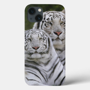 Weiße Phase, Bengal Tiger, Tigris Case-Mate iPhone Hülle