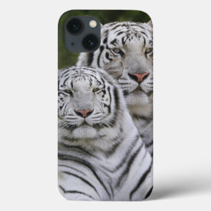 Weiße Phase, Bengal Tiger, Tigris Case-Mate iPhone Hülle