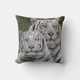 Weiße Phase, Bengal Tiger, Tigris Kissen