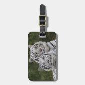 Weiße Phase, bengalischer Tiger, der Tigris Gepäckanhänger (Vorderseite vertikal)