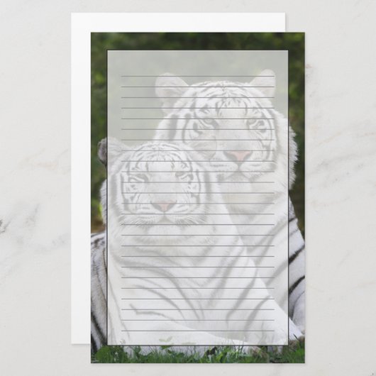 Weiße Phase, Bengalischer Tiger, Tigris Briefpapier (Vorne/Hinten)