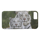 Weiße Phase, Bengalischer Tiger, Tigris Case-Mate iPhone Hülle (Rückseite (Horizontal))