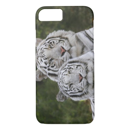Weiße Phase, Bengalischer Tiger, Tigris Case-Mate iPhone Hülle (Rückseite)