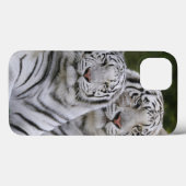 Weiße Phase, Bengalischer Tiger, Tigris Case-Mate iPhone Hülle (Rückseite (Horizontal))