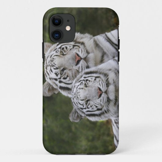 Weiße Phase, Bengalischer Tiger, Tigris Case-Mate iPhone Hülle (Rückseite)