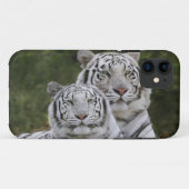 Weiße Phase, Bengalischer Tiger, Tigris Case-Mate iPhone Hülle (Rückseite (Horizontal))