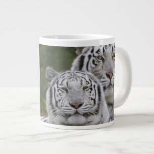 Weiße Phase, Bengalischer Tiger, Tigris Jumbo-Tasse