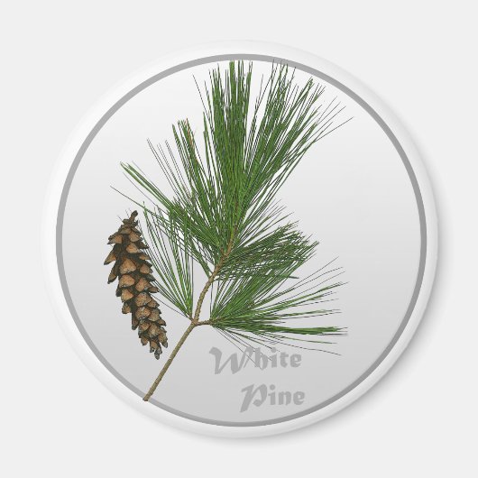 Weiße Pine Tree Magnet (Vorne)