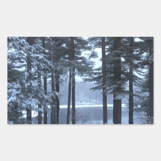 Weiße Pines in blauem Licht — Rechteckiger Aufkleber (Vorderseite)