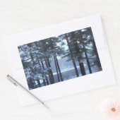 Weiße Pines in blauem Licht — Rechteckiger Aufkleber (Umschlag)