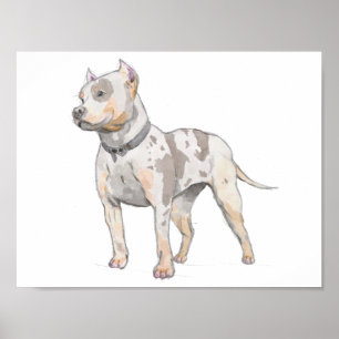 Weiße Pitbull-HundeAquarell-Skizze Poster