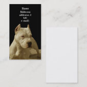 Weiße pitbull Visitenkarte (Vorne/Hinten)