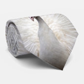 Weiße Platte des Pfau-drei Krawatte (Gerollt)