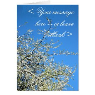 WEISSE PLUMBLÖCKE (KUSTOM)