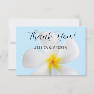 Weiße Plumeria auf blau, tropisch, floral Dankeskarte