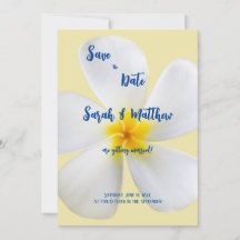 Weiße Plumeria auf gelber, tropischer, blumenreich