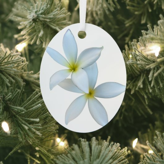 Weiße Plumeria Bloom Metal Ornament Aus Metall (InSitu)