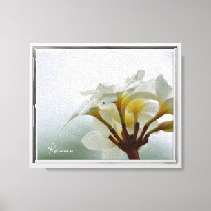 Weiße Plumeria-Blüten Kauai (von mir aufgenommen) Leinwanddruck