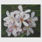 Weiße Plumeria Geschenkpapier (Flach)