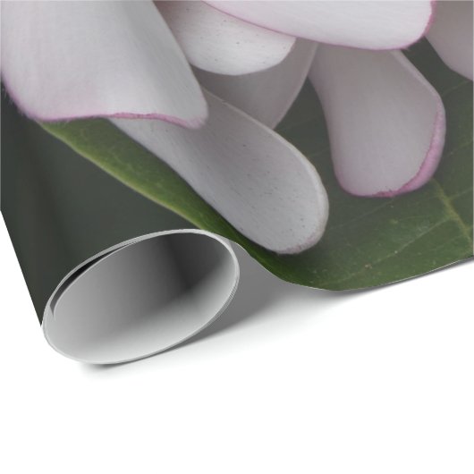 Weiße Plumeria Geschenkpapier (Rolleneckpunkt)