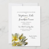 Weiße Plumeria Hawaiian Blume Einladung Hochzeit (Vorderseite)