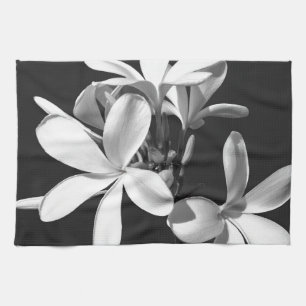 Weiße Plumeria in voller Blüte Küchentuch