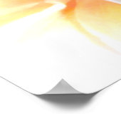 Weiße Plumeria Poster (Ecke)