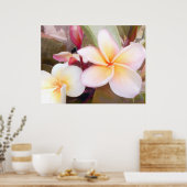 Weiße Plumeria Poster (Küche)