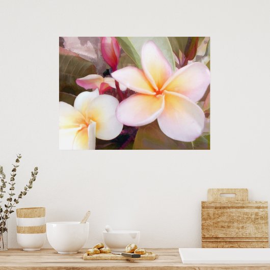Weiße Plumeria Poster (Küche)