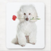 Weiße Poodle Welpe Hund Blume Mousepad (Vorne)