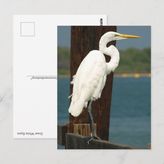 Weiße Postkarte (Vorne/Hinten)