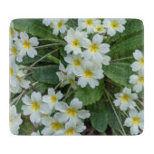 Weiße Primrosen mit gelben Zentren, blorfarbig Schneidebrett (Vorderseite)