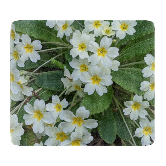 Weiße Primrosen mit gelben Zentren, blorfarbig Schneidebrett (Vorderseite)