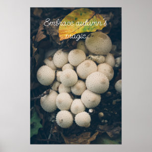 Weiße Puffballpilze unter Herbstblättern Poster