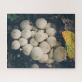 Weiße Puffballpilze unter Herbstblättern Puzzle (Horizontal)