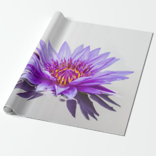 Weiße Purpur-Lotusblüten-Zen Geschenkpapier