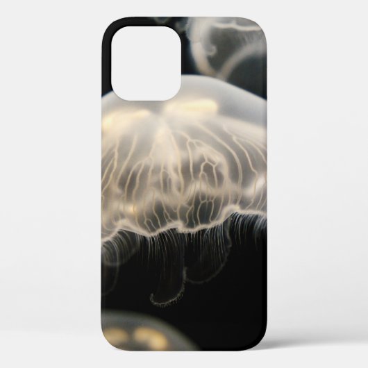 WEIßE QUALLE Case-Mate iPhone HÜLLE (Rückseite)