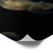 Weiße Qualle Poster (Ecke)