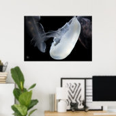 Weiße Qualle Poster (Heimbüro)