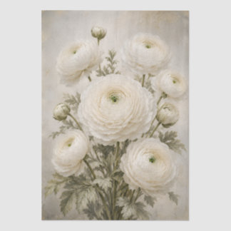 Weiße Ranunculus-Decoupage-Papier | Vintage-Stimmu Seidenpapier