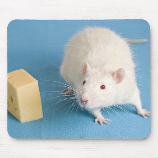 Weiße Ratte und ein Stück Käse Mousepad (Vorne)