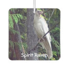 Weiße Raven-Magnete