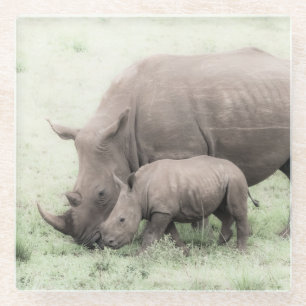 Weiße Rhino-u. Baby-Glas-Untersetzer Glasuntersetzer