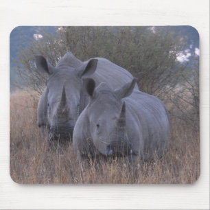 Weiße Rhinos Mousepad